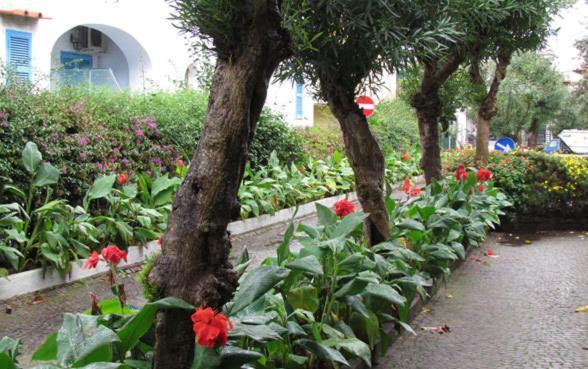 איסקיה Grand Hotel Delle Terme Re Ferdinando מראה חיצוני תמונה
